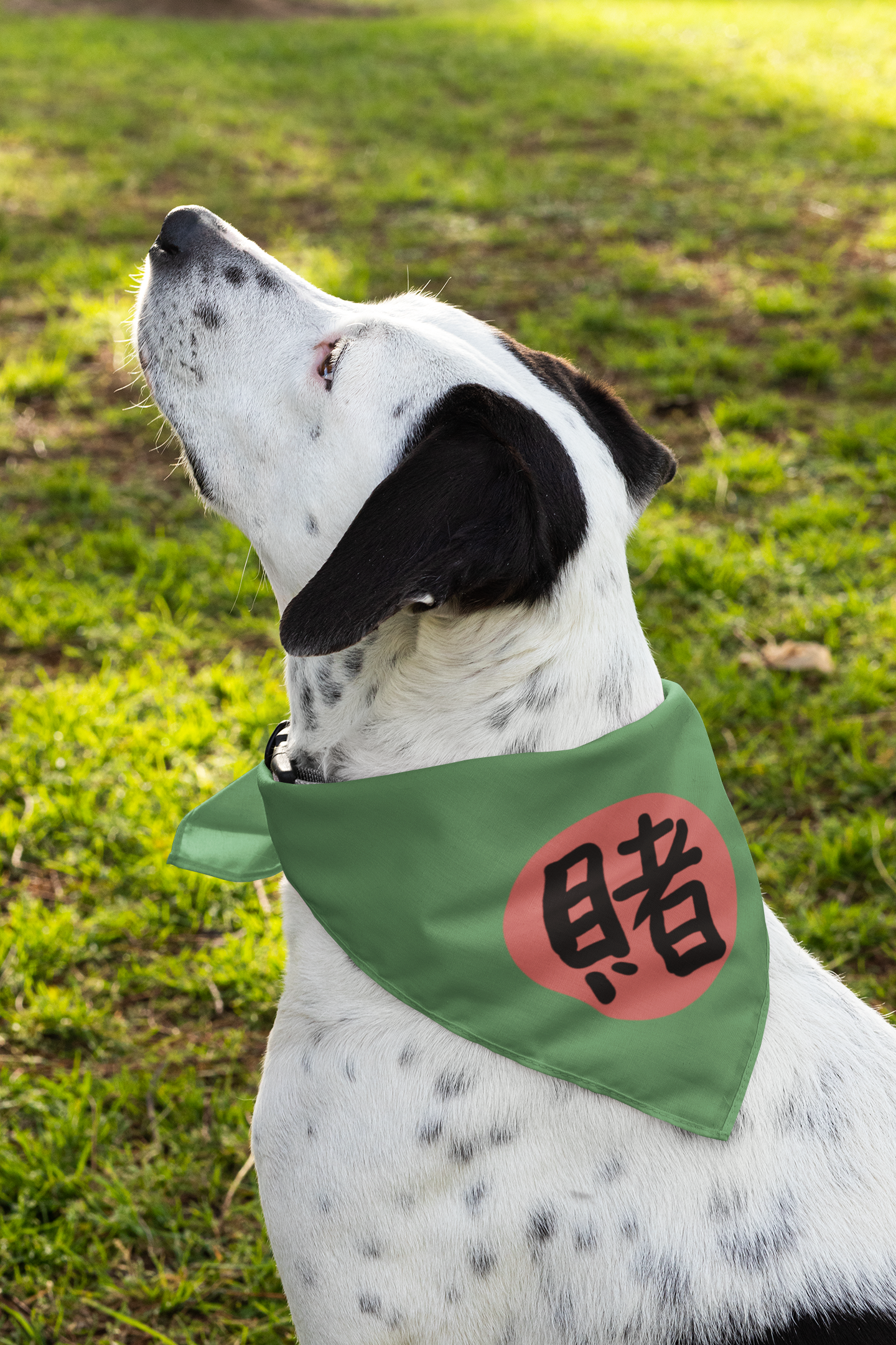 Gambling Queen Handmade Anime Dog and Cat Bandanas